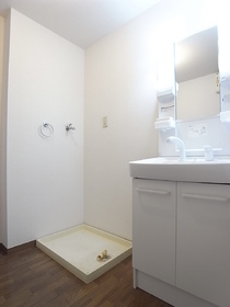 Washroom. Shampoo dresser new
