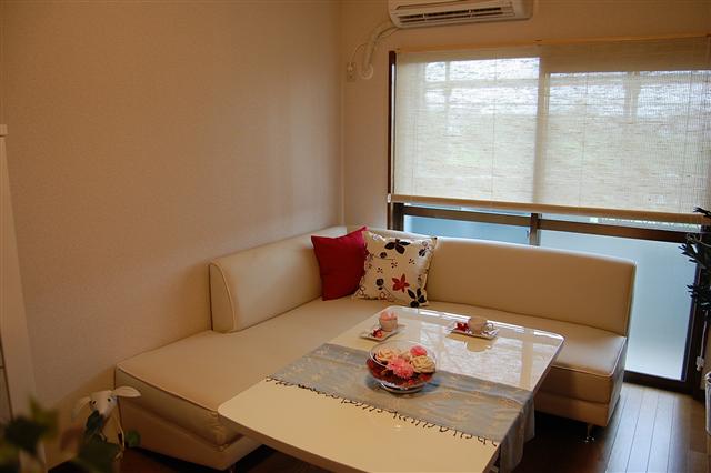 Living and room. model room