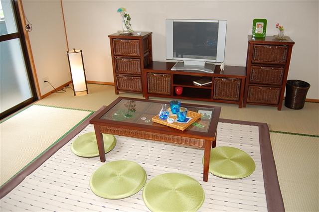 Living and room. model room