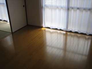 Living and room. Living