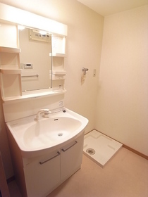 Washroom. Shower is Dresser