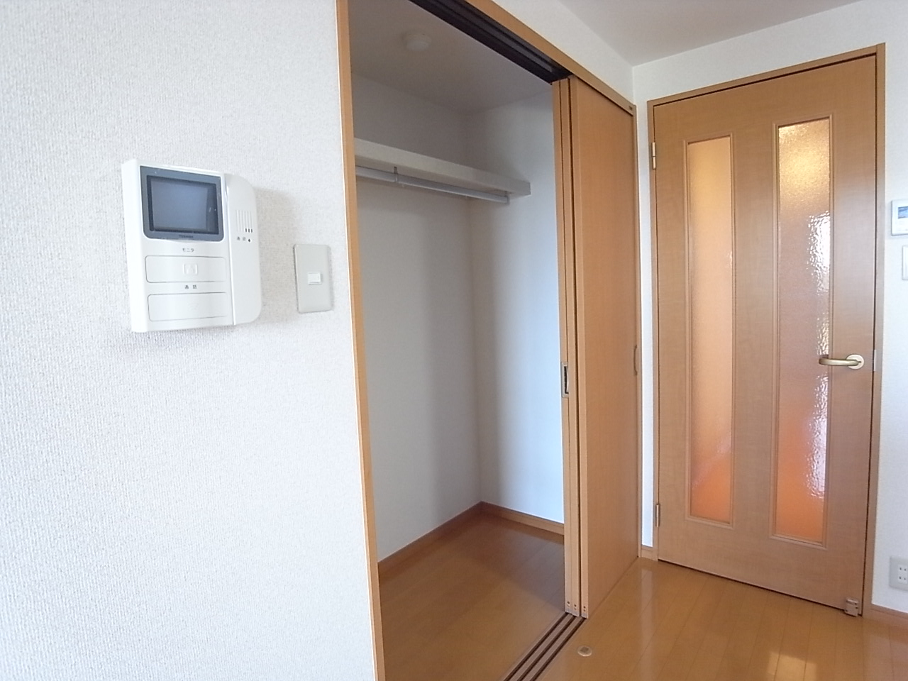 Security. TV monitor phone