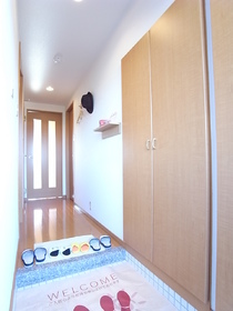 Entrance. It was wall-mounted furniture installation.