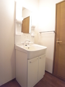 Washroom. Shampoo is Dresser