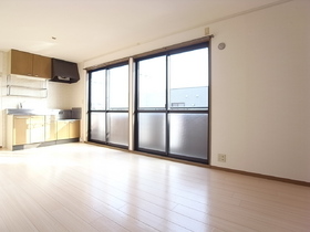 Living and room. South-facing sunny