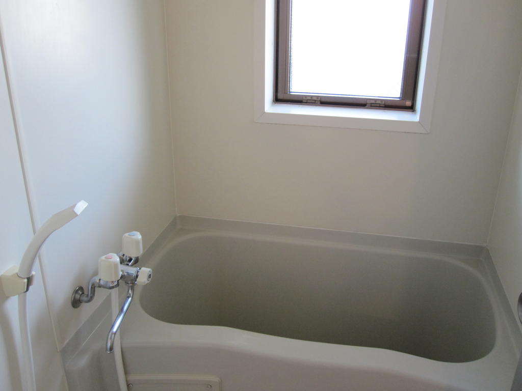 Bath. Bright bathroom