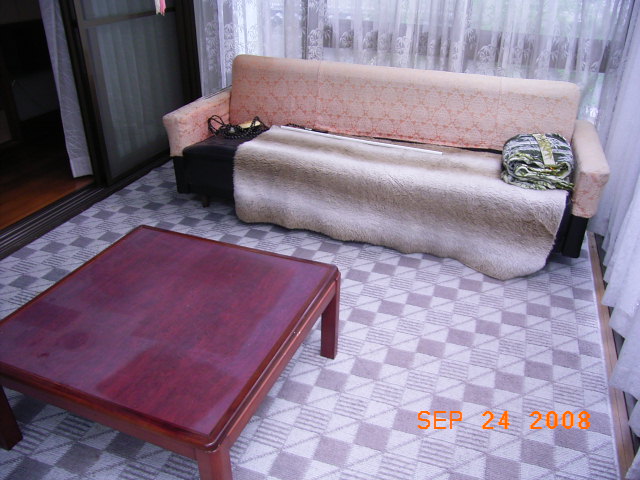 Living and room. It contains the sun than anywhere in the room on the day of sunny