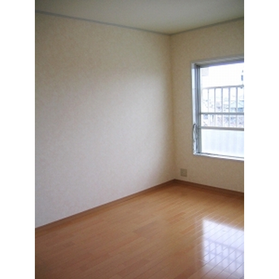 Other room space. Western style room