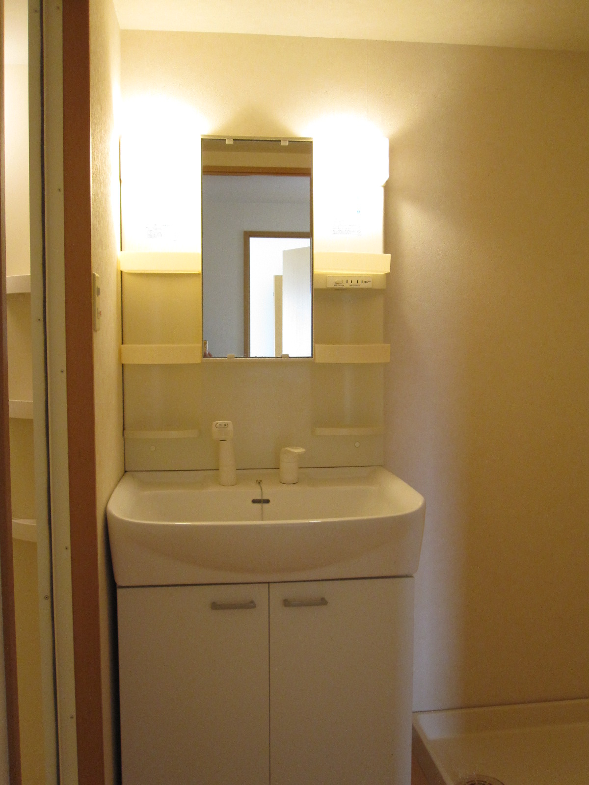 Washroom. Shampoo dresser a wash basin