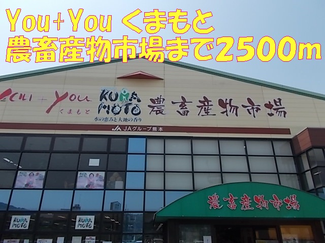 Supermarket. you + you agricultural and livestock products market (super) up to 2500m