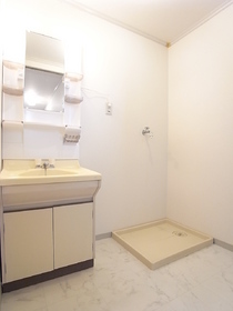 Washroom. Spacious dressing room