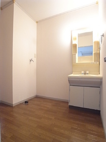 Washroom. Washbasin independence