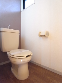 Toilet. Accent Cross