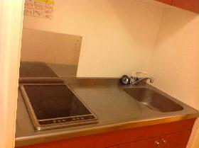 Kitchen. Electric stove 2-neck