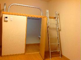 Living and room. bed