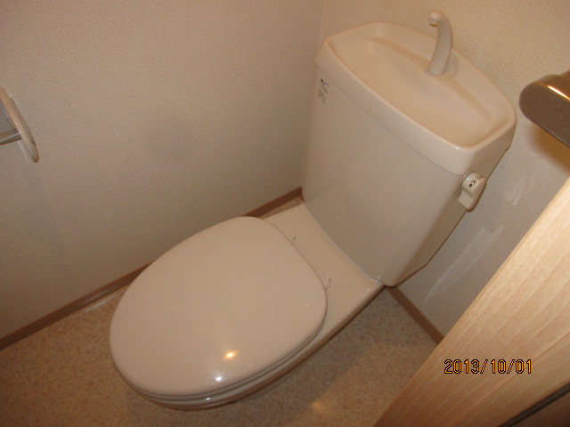 Toilet. Of course, it is washed with water.