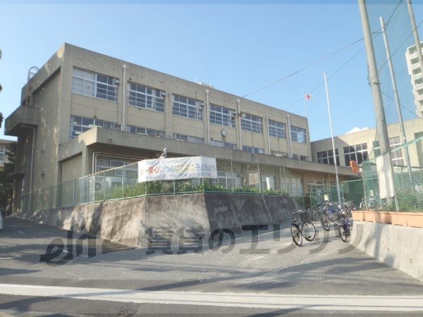 Primary school. Chengyang to Municipal Terada elementary school (elementary school) 740m