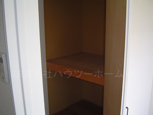 Other. closet