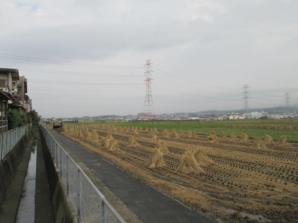 Other local. Local (11 May 2013) Shooting