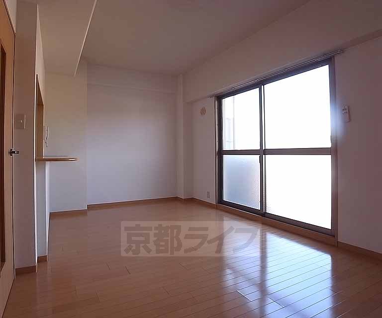 Living and room. Spacious room.