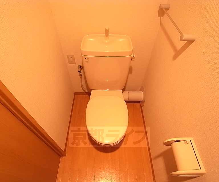 Toilet. It is a toilet with a clean.