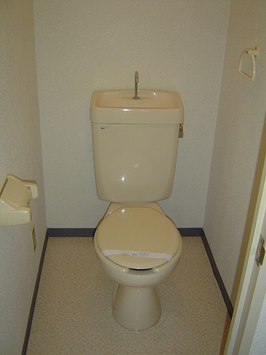Other. Toilet