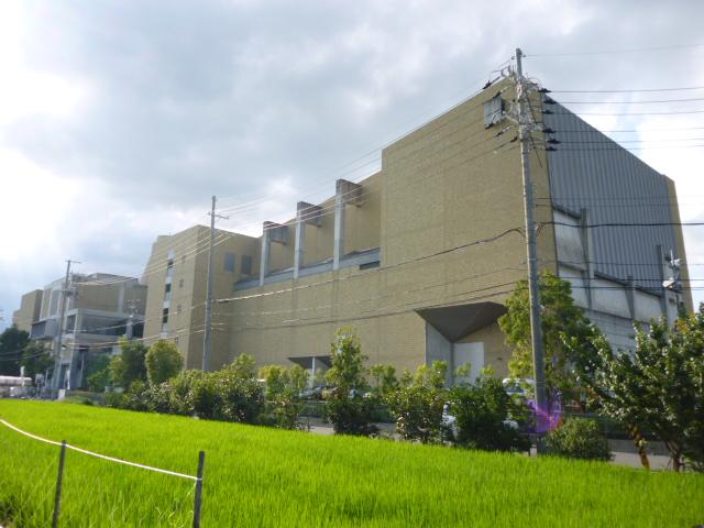 Other local. Chengyang cultural Parc. Various events will be opened. 