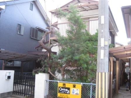 Local land photo. Local (January 2011) shooting