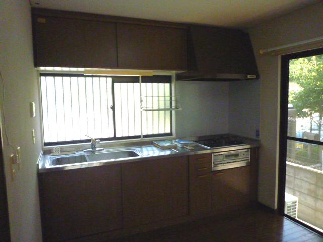 Kitchen. Indoor (10 May 2012) shooting