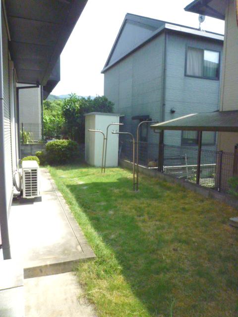 Garden. Local (10 May 2012) shooting