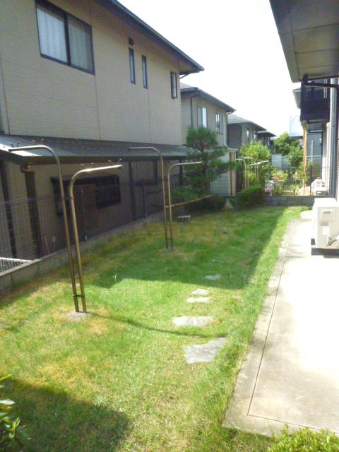 Garden. Local (10 May 2012) shooting