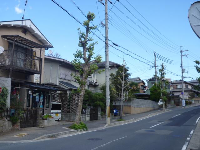 Local photos, including front road. Local (11 May 2013) Shooting