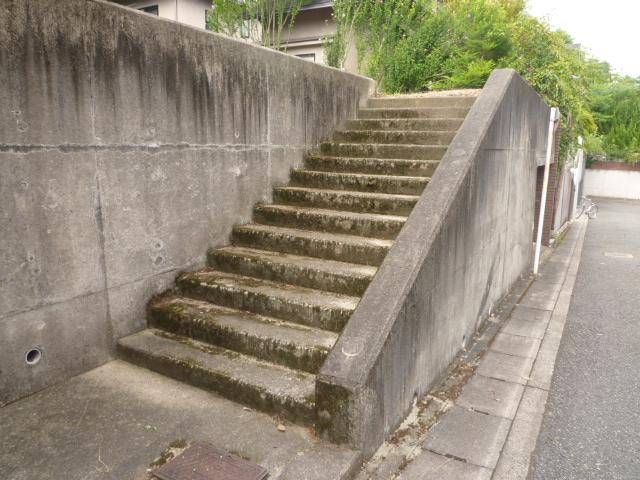 Other local. Local (August 2013) Shooting