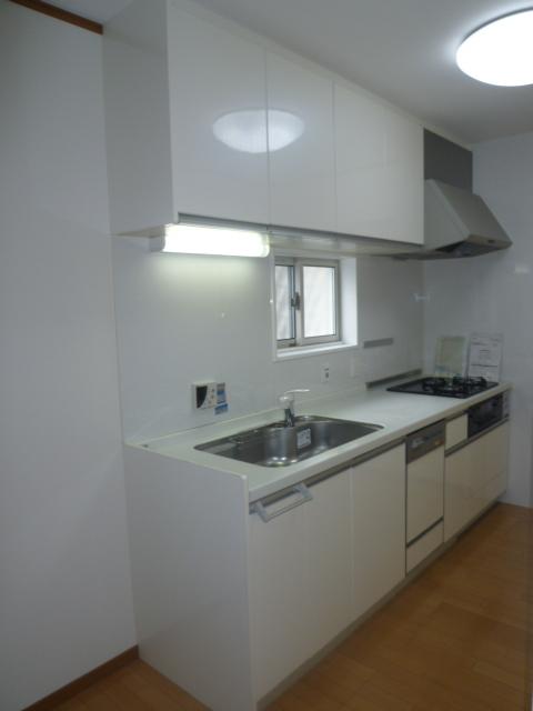 Kitchen. Indoor (12 May 2013) Shooting