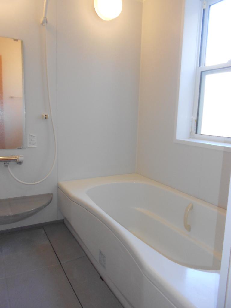 Bathroom. Indoor (10 May 2013) Shooting