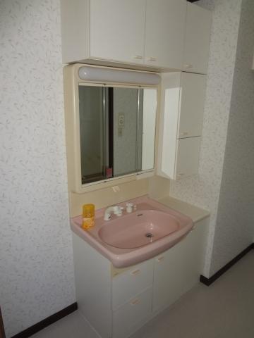 Wash basin, toilet. Independent wash basin