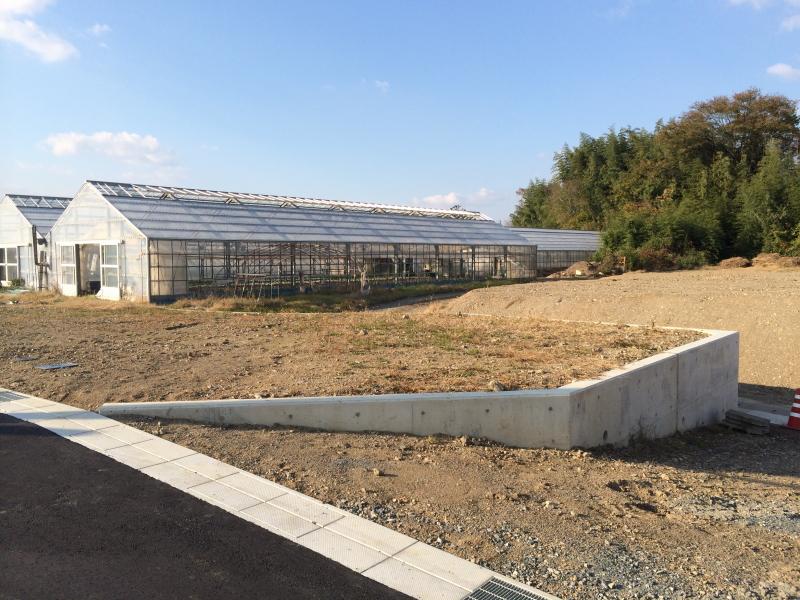 Local land photo. Release enough feeling! 