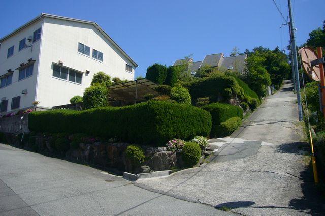 Local land photo. local