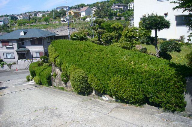 Local land photo. local