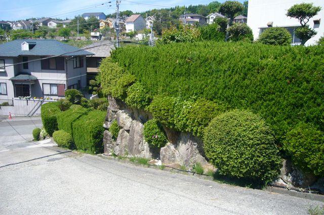 Local land photo. local