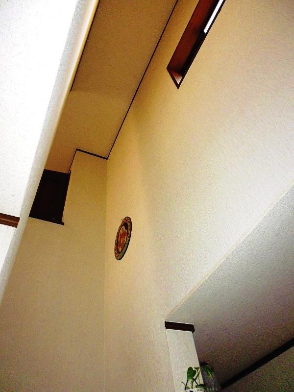 Other introspection. Entrance atrium