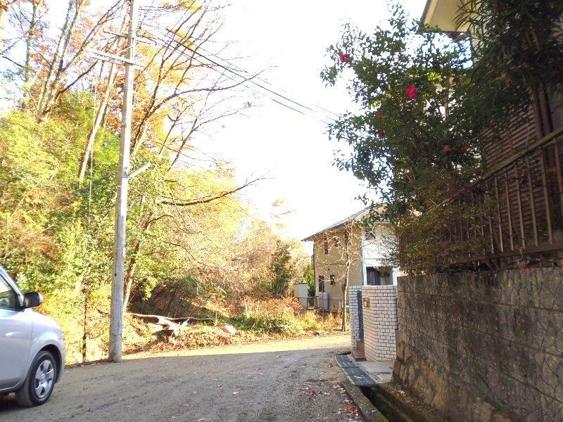 Local photos, including front road. Local (12 May 2013) Shooting