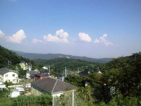 View photos from the local