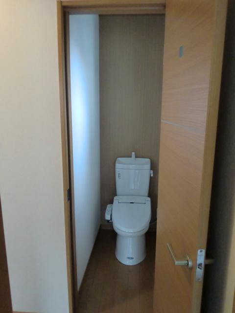 Toilet. Clean and comfortable in the shower toilet with a toilet bowl. Is easy clean the removal simple toilet seat.