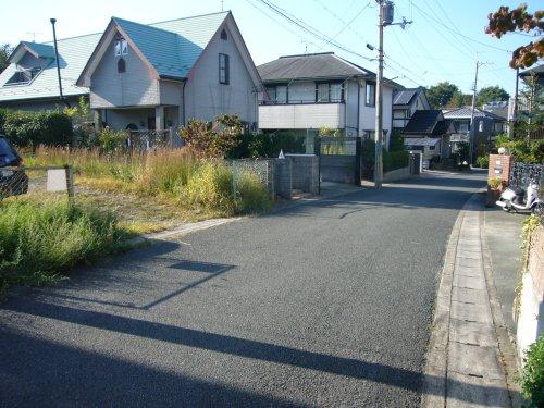 Local land photo. appearance