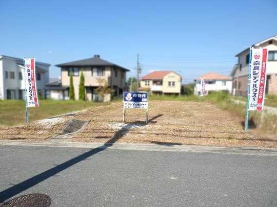 Local land photo. Southwest-facing
