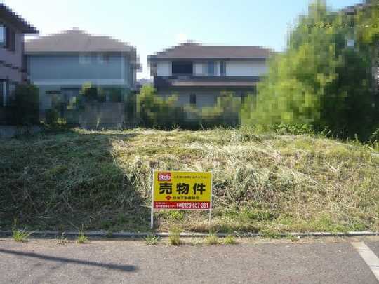 Local land photo. Land: 61.19 square meters