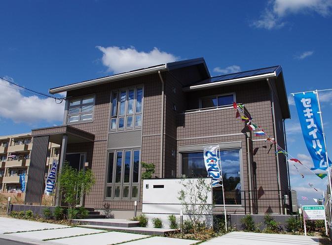 Local photos, including front road. Local model house (October 2013 shooting)