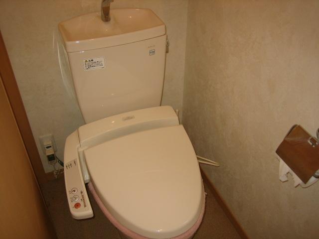 Toilet. Room (August 2013) Shooting