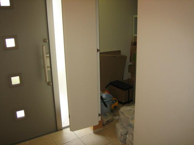 Entrance. Shoes with closet